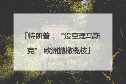 特朗普：“没空理马斯克” 欧洲抛橄榄枝