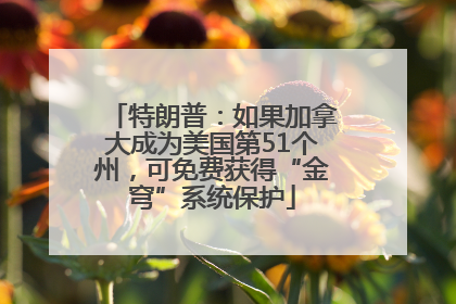 特朗普：如果加拿大成为美国第51个州，可免费获得“金穹”系统保护