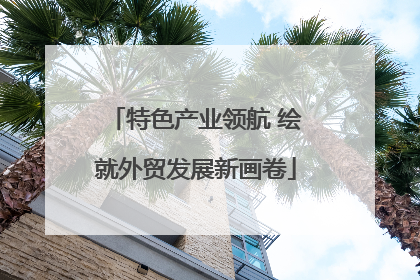 特色产业领航 绘就外贸发展新画卷