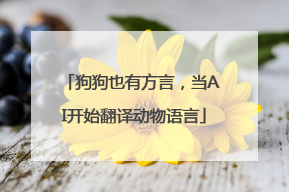 狗狗也有方言，当AI开始翻译动物语言