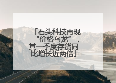 石头科技再现“价格乌龙”，其一季度存货同比增长近两倍