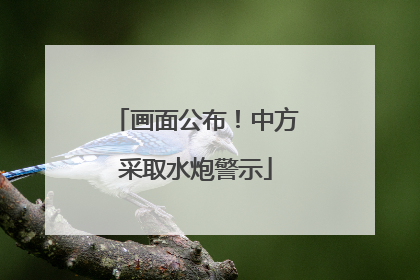 画面公布！中方采取水炮警示