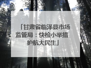 甘肃省临泽县市场监管局：快检小举措 护航大民生