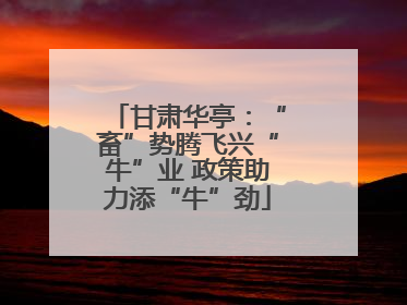 甘肃华亭：“畜”势腾飞兴“牛”业 政策助力添“牛”劲