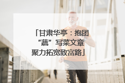 甘肃华亭：抱团“蔬”写菜文章 聚力拓宽致富路