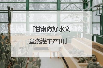 甘肃做好水文章浇灌丰产田