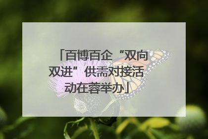 百博百企“双向双进”供需对接活动在蓉举办