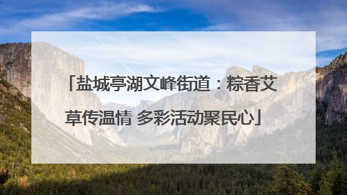 盐城亭湖文峰街道：粽香艾草传温情 多彩活动聚民心