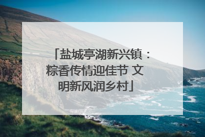 盐城亭湖新兴镇：粽香传情迎佳节 文明新风润乡村