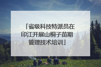 省级科技特派员在印江开展山桐子苗期管理技术培训