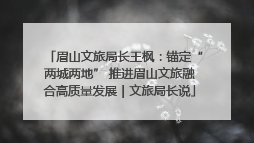 眉山文旅局长王枫：锚定“两城两地” 推进眉山文旅融合高质量发展｜文旅局长说