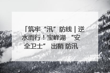 筑牢“汛”防线｜逆水而行！宝峰湖 “安全卫士” 出鞘 防汛应急再添硬核力量