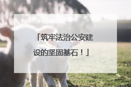 筑牢法治公安建设的坚固基石！