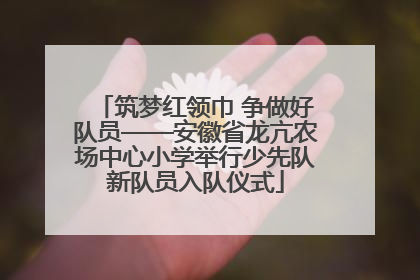筑梦红领巾 争做好队员——安徽省龙亢农场中心小学举行少先队新队员入队仪式