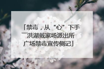 禁毒，从“心”下手――洪湖戴家场派出所广场禁毒宣传侧记