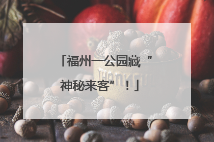 福州一公园藏“神秘来客”！