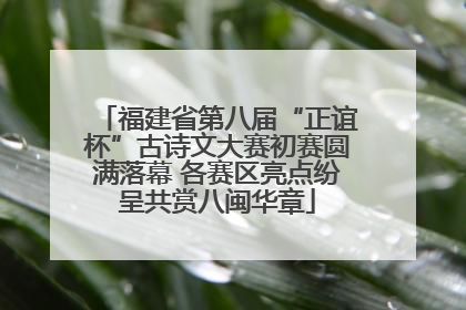 福建省第八届“正谊杯”古诗文大赛初赛圆满落幕 各赛区亮点纷呈共赏八闽华章