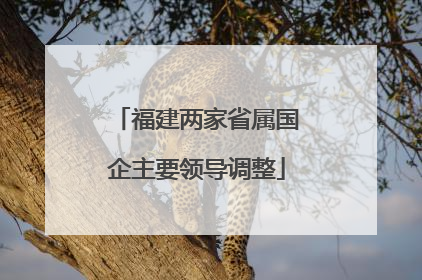福建两家省属国企主要领导调整