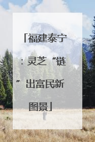 福建泰宁：灵芝“链”出富民新图景