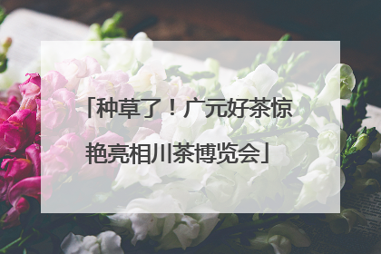 种草了！广元好茶惊艳亮相川茶博览会
