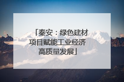 秦安：绿色建材项目赋能工业经济高质量发展