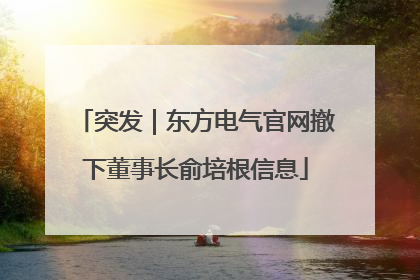 突发｜东方电气官网撤下董事长俞培根信息