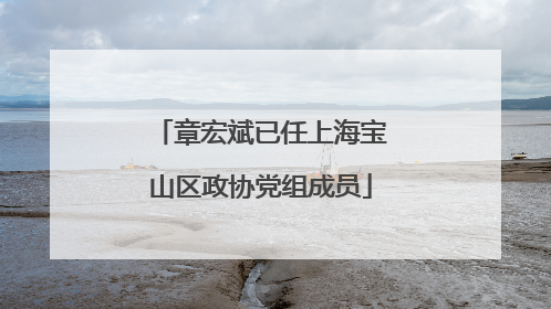 章宏斌已任上海宝山区政协党组成员