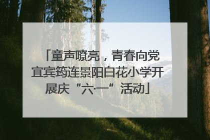 童声嘹亮，青春向党 宜宾筠连景阳白花小学开展庆“六·一”活动