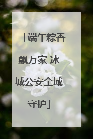 端午粽香飘万家 冰城公安全域守护