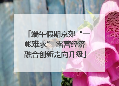 端午假期京郊“一帐难求” 露营经济融合创新走向升级