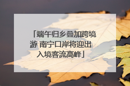 端午归乡叠加跨境游 南宁口岸将迎出入境客流高峰