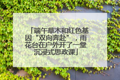 端午草木和红色基因“双向奔赴”，雨花台在户外开了一堂沉浸式思政课