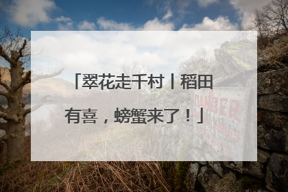 翠花走千村丨稻田有喜，螃蟹来了！