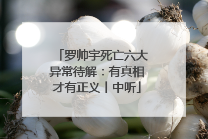 罗帅宇死亡六大异常待解：有真相才有正义丨中听