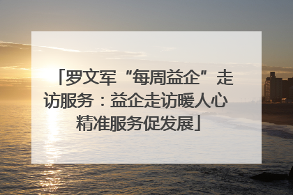 罗文军“每周益企”走访服务：益企走访暖人心 精准服务促发展