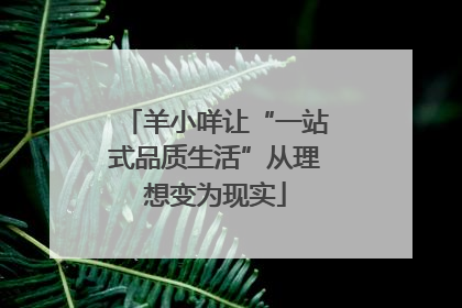 羊小咩让“一站式品质生活”从理想变为现实