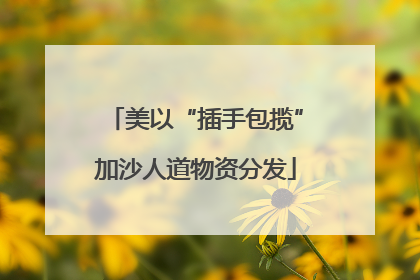 美以“插手包揽”加沙人道物资分发