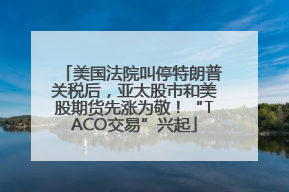 美国法院叫停特朗普关税后，亚太股市和美股期货先涨为敬！“TACO交易”兴起