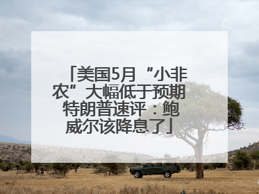 美国5月“小非农”大幅低于预期 特朗普速评：鲍威尔该降息了