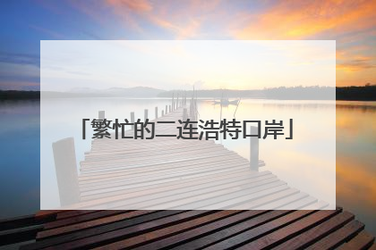 繁忙的二连浩特口岸