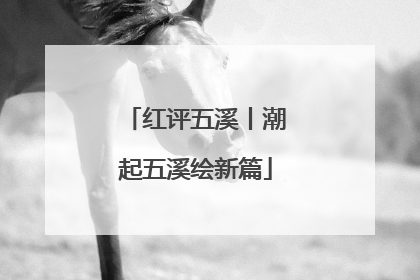 红评五溪丨潮起五溪绘新篇