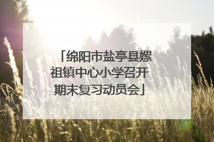 绵阳市盐亭县嫘祖镇中心小学召开期末复习动员会