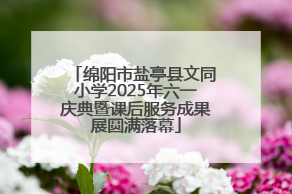 绵阳市盐亭县文同小学2025年六一庆典暨课后服务成果展圆满落幕