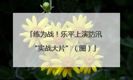 练为战！乐平上演防汛 “实战大片”（图）