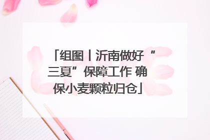 组图丨沂南做好“三夏”保障工作 确保小麦颗粒归仓