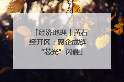 经济地理丨黄石经开区：聚企成链“芯光”闪耀
