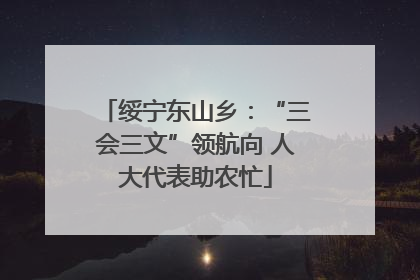 绥宁东山乡：“三会三文”领航向 人大代表助农忙