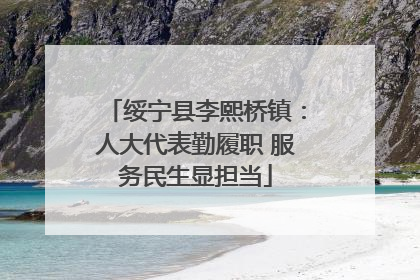 绥宁县李熙桥镇：人大代表勤履职 服务民生显担当