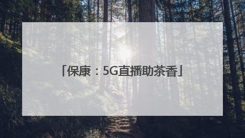 保康：5G直播助茶香