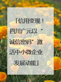 信用变现！四川广元以“诚信密码”激活中小微企业发展动能